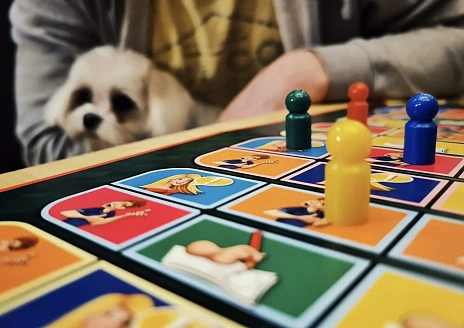  Pet Friendly House рис.4