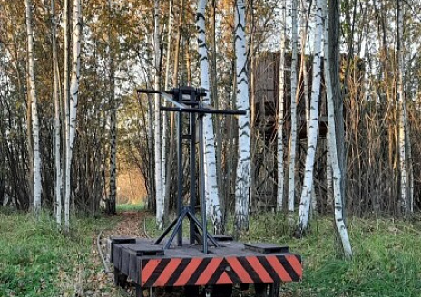  Домик с видом на лес рис.6