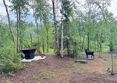  Barnhouse 1 рис.10