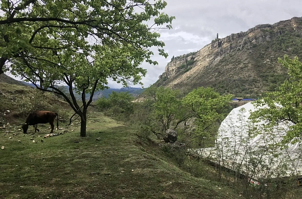 Глэмпинг АБРИКОС VILLAGE рис.8