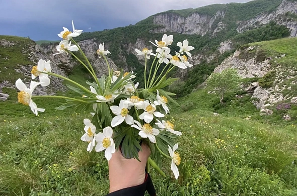 База отдыха Тхач от Травел Хотелс Антураж рис.4