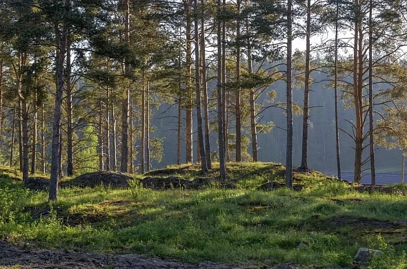 Глэмпинг Smorodina Camp рис.22