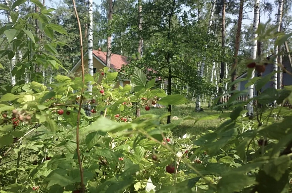 Гостевой дом Корница рис.13