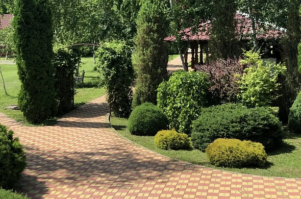 База отдыха Лукоморье рис.7