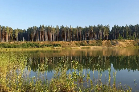 Гостевой дом Олин лес рис.21