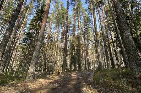 База отдыха Загородный клуб LIFE рис.13
