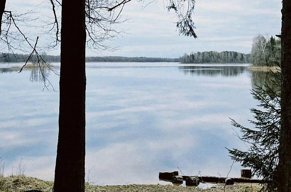 Глэмпинг Зеленая Тропа.Деревня рис.14