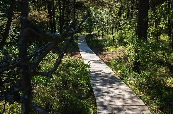Глэмпинг Ecolodge Zen рис.8