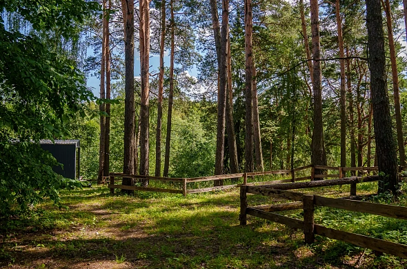 Глэмпинг Лесной Привал рис.19