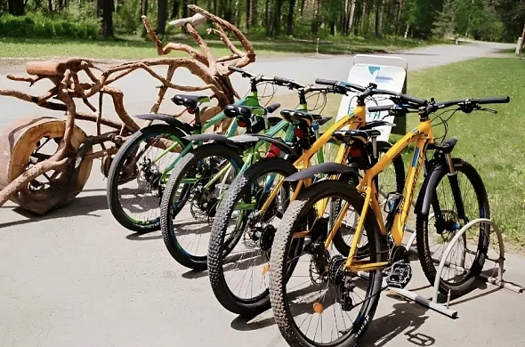 Загородный отель Тэнери рис.22