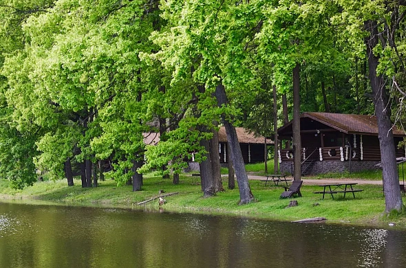 Загородный отель Just Wood рис.5