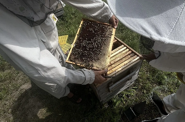 Глэмпинг Honey Day рис.23