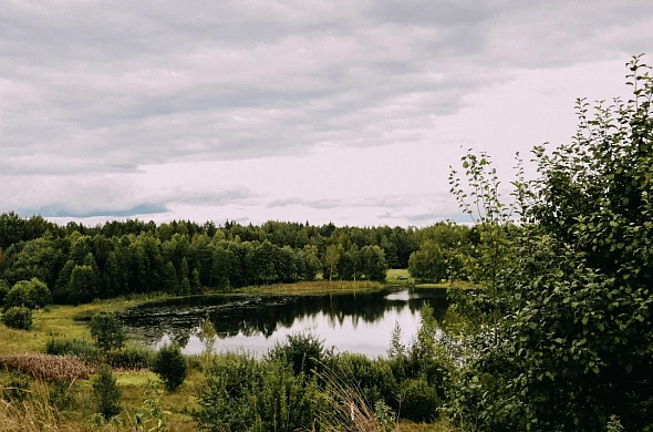 Глэмпинг Forrest Home рис.20