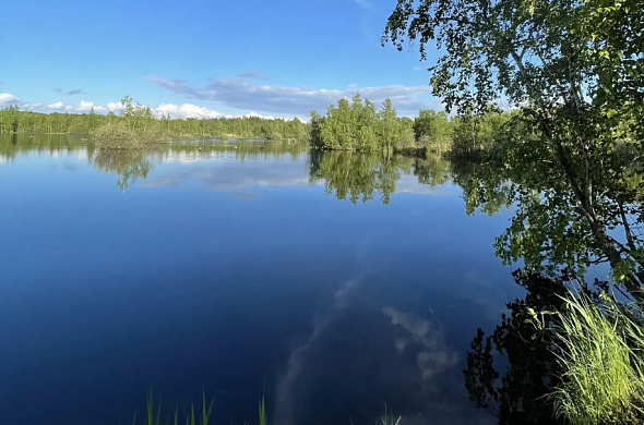Загородный отель Relax Villas Shalash рис.19