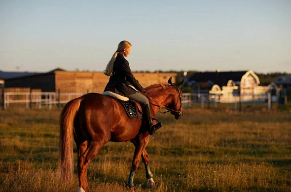 Загородный отель Horseka resort рис.25