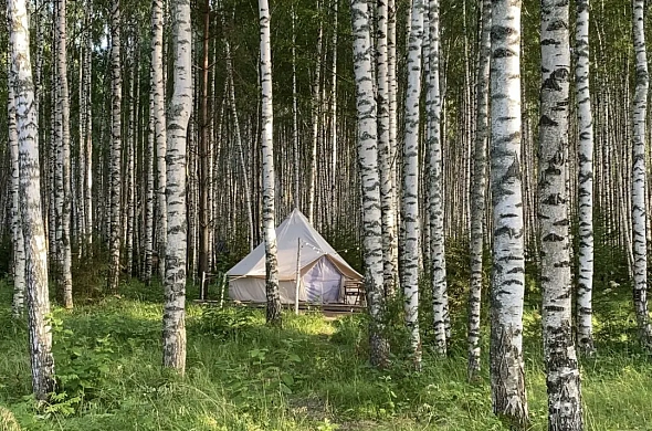 Глэмпинг Берег Грифона рис.1