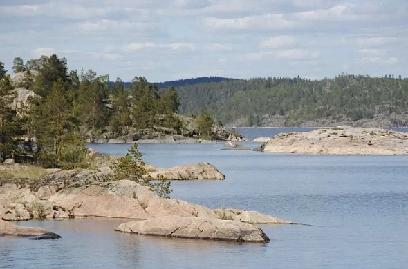 Глэмпинг Dream House in Karelia рис.16