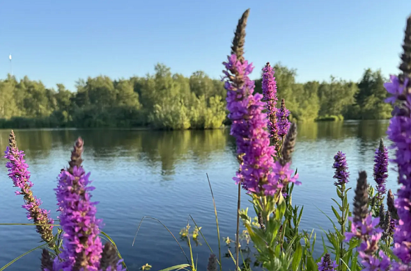 Загородный отель Relax Villas Shalash рис.20