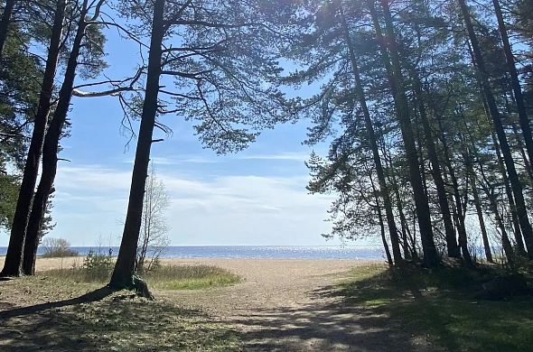 База отдыха Iskatel Holiday park рис.14