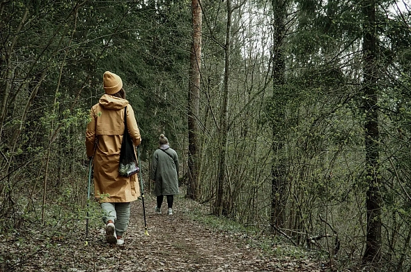 Глэмпинг Зеленая Тропа.Деревня рис.12