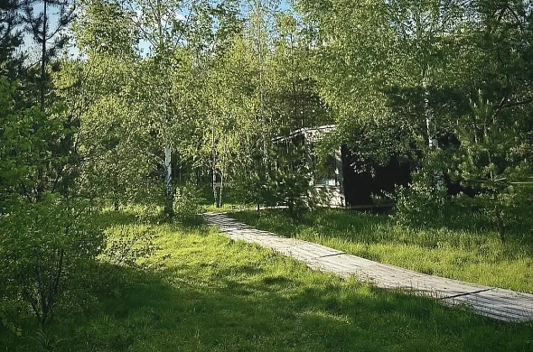 Глэмпинг Клюква рис.2