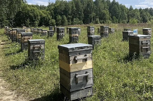 Глэмпинг Honey Day рис.22