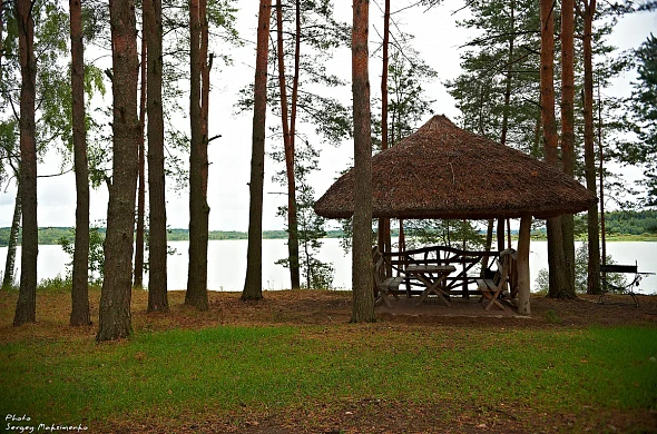 Загородный отель Борвиха рис.4